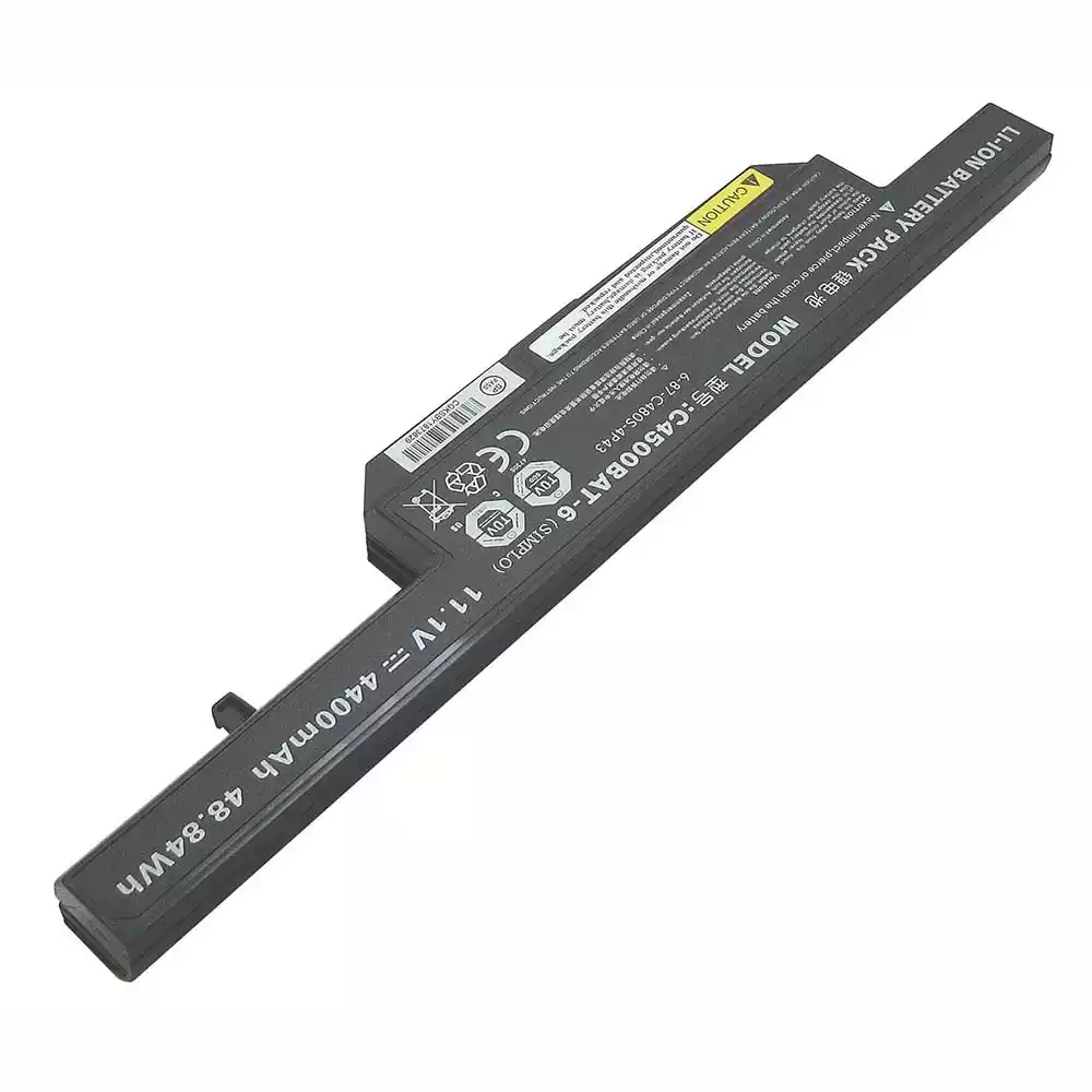 Baterie laptop CLEVO C4500BAT-6 - imagine 2