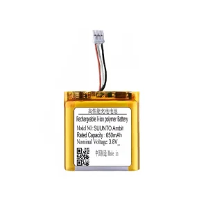 Baterie de schimb pentru SUUNTO Ambit 1 Ambit 2 6mm