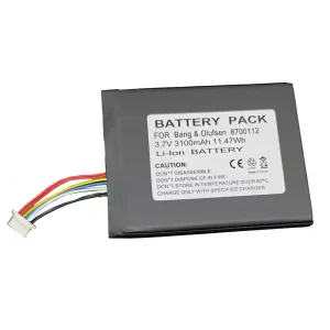 Baterie de schimb pentru difuzor Bang & Olufsen BeoSound Moment,8700112